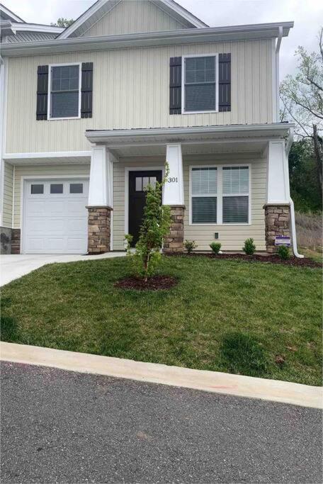 Newly Built Townhome Close To The Asheville Sites Candler Kültér fotó