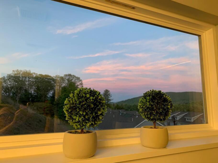 Newly Built Townhome Close To The Asheville Sites Candler Kültér fotó